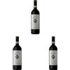 FRESCOBALDI Nipozzano Vecchie Viti - Castello Nipozzano - Chianti Rùfina Riserva DOCG - Frescobaldi - Bottiglia da 0,75ml (Confezione da 3)