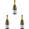 Monthuys Pere Et Fils Monthuys Père & Fils Champagne Blanc De Blancs - 750 ml (Confezione da 3)