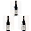 Sartori Casa Vinicola, Amarone della Valpolicella D.O.C.G, Rosso, 2020, Veneto, 750ml (Confezione da 3)
