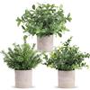 Der Rose 3 pezzi piante artificiali come vere piante di eucalipto piante finte per decorazione soggiorno camera da letto camera decorazione da parete decorazione bagno (verde)