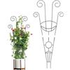 Generic Griglia Piante Da Interno - Supporto In Ferro 76cm Per Piante Rampicanti | Struttura Decorativa Per Vasi Da Interno Esterno | Trellis Metallo Da Giardino Per Crescita Piante