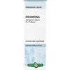 ERBA VITA ESTRATTI LIQUIDI Gramigna Rizoma Soluzione Idroalcolica 50 Ml