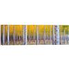 LuxHomeDecor Quadro Bosco BETULLE 100x30 cm Stampa su Tela con Telaio in Legno Arredamento Arte Arredo Moderno