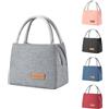 BRYN Borsa Termica Porta Pranzo, 8.2L Borsa Frigo Piccola Pranzo Ufficio, Borsa Pranzo per Lavoro, Scuola, Viaggio, Campeggio, Picnic, Mare（Grigio）