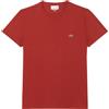 LACOSTE T-SHIRT LOGO IN COTONE PIMA