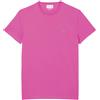 LACOSTE T-SHIRT LOGO IN COTONE PIMA