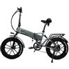Bici elettrica pieghevole per pneumatici grassi a doppio motore | Freno idraulico per bici - RX20 48V 17AH