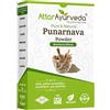 Attar Ayurveda Punarnava Powder Contain Fiber and Pectin for Kidney Rejuvenation 100% Pure and Natural No Preservative, Vegan Friendly Non-GMO 250gm