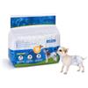 Nobleza Pannolini per Cani USA e Getta Pannolini per addestramento per Cuccioli per Femmine Assorbenti per Animali Domestici Confezione da 12 Pezzi, XS