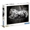 Clementoni - 39422 - High Quality Collection Puzzle - Kitty - Puzzle Adulti 1000 Pezzi