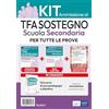 Edises professioni & concorsi Kit base specializzazione sostegno didattico scuola secondaria. Eserciziari + Manuale + Software + Glossario. Con software di simulazione