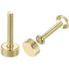 QUARKZMAN 16Pz Viti Decorative in Ottone con Tappi, Viti per Specchi da 12 Mm Chiodi per Copri Tappi, Elementi di Fissaggio per Mobili a Specchio Decorativi, Oro