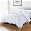 Dreamzie Piumino Letto Matrimoniale 4 Stagioni 220x240 - Piumone Autunnale Invernale 220 x 240 cm - Coperta Trapunta 240x220 di Microfibra Sintetico, Bianco, Certificato Oeko-Tex