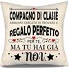 Aosumin Compagno di classe abbiamo cercato di trovare il regalo perfetto per te ma tu hai già noi Divertenti copricuscini per compagni di classe Compleanno Laurea Regalo di Natale(compagno di classe-b)