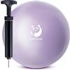 Slim Panda Palla da pilates da 22,9 cm, mini palla da yoga anti-scoppio con pompa ad ago, piccola palla per esercizi di sbarra, stabilità e fisioterapia