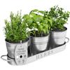 Barnyard Designs Set di fioriere per erbe aromatiche con vassoio, per giardino interno o esterno, vasi decorativi in metallo zincato, per cucina, (set da 3, 11 x 10 cm, su 32 x 10 cm)