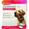 Beaphar Canishield Collare Antiparassitario Large, 65cm, per Cani - Collare Antipulci e Antizecche