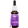 BUSH BIOTHERAPIES Pty Ltd SPIRITUALITY ESSENCE GOCCE 30 ML