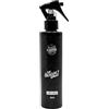 Charlemagne Spray al sale marino - addensante per capelli - prodotto per il pre-styling - spray al acqua salata per capelli - più consistenza, più volume (200 ml (1 confezione), Tenuta leggera)