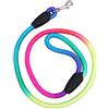 Greenlans Rainbow Color Weave Nylon Cintura Pet Cane Trazione Corda Rotonda di Formazione Guinzaglio Cane Usura