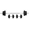 HOMCOM Set Bilanciere e Dischi 65kg con 2 Manubri Pesi, Bilanciere Palestra Manubri con 14 Dischi in Acciaio e Plastica