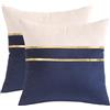 Tosleo TOSELEO - Set di 2 federe per cuscini, 60 x 60 cm, in velluto quadrato, decorazione moderna, per divano, soggiorno, casa, (60 x 60 cm, blu)