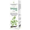 CAIRA LABORATORIO ERB. SA. SRL Caira Ginkgovir Macerato Idroalcolico Gocce 50 Ml
