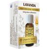 LAVANDA OE NATURALE 10ML - GIORGINI - 981446711