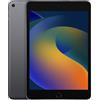 Apple iPad Mini 7.9 pollici (2019) 5a Generazione, Grigio Siderale - 64GB - Wi-Fi - Ottimo