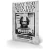 PYRAMID HARRY POTTER SIRIUS WANTED WOOD PRINT STAMPA SU LEGNO PYRAMID INTERNATIONAL