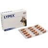 Lypex 60 Capsule