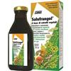 SALUS HAUS Gmbh & Co KG Salufrangol 250 Ml