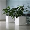 Arkema Design VASO IRIS