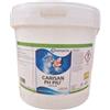 Chemartis Correttore pH plus per piscina - 10 kg.