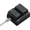 Sony BC-ZD1 Carica Batteria Doppio per NP-FZ100