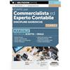 Edizioni Giuridiche Simone Esame per commercialista ed esperto contabile. Manuale per le prove scritte e orali. Discipline giuridiche (Vol. 1)