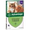 ELANCO ( ELI LILLY ITALIA S.P.A. ) ADVANTAGE 80 GATTI E CONIGLI SPOT ON 4 PIPETTE 0,8 ML