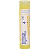Echinacea Laboratoires Boiron BOIRON® Echinacea Angustifolia 4 Ch Granuli 1 pz