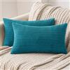 MIULEE Confezione da 2 Fodere in Velluto a Coste Decorative Federe Morbido Copricuscini Cuscino Moderne Comodo Robusto per Camera da Divano Letto 30x50cm Lake Blue