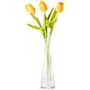 VASANA Vaso da fiori piccolo da 23 cm, alto e sottile, in vetro, trasparente, a stelo singolo, per decorazione domestica, soggiorno, ufficio e centrotavola