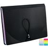 Lostwry Cartella Portadocumenti A4, 13 Tasche Porta Documenti Espandibili Organizer per Documenti A4 Porta Documenti Fisarmonica organizer per documenti per Faldoni Ufficio Scuola Casa, Nero