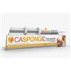 SHEDIR PHARMA Srl Unipersonale Caspongil Pasta 30 G