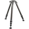 Gitzo GT3543LS eXact Carbon Systematic L della serie 3