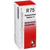 Dr. Reckeweg & Co. Gmbh Reckeweg R75 Gocce 22ml