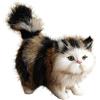 Surakey Gatto Peluche Realista Ragdoll 12 x 12 x 6 cm, in Piedi, Morbido Carino Bambola, Cuscino in Peluche per Dormire, Regalo per Bambini