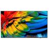 Philips Professional Display 58HFL6214U/12