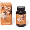Fitomedical MAITAKE ESTRATTO SECCO 60 TAVOLETTE