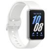 SAMSUNG Galaxy Fit3 Silver