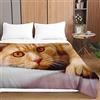 Chickwing Trapuntino Copriletto Trapuntato Primaverile Estivo, Chickw11 3D Gatto Stampa Trapuntato Goffrato Trapunta Coperta Leggera per Matrimoniale Singolo (Gatto Arancione,230x280cm)