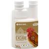 DADECARE Preventivo Parassiti Naturale 250 ml - Polli, Pollame ed Esotici - Estratto di Citronella e Chiodi di Garofano - Formula Naturale - Excare